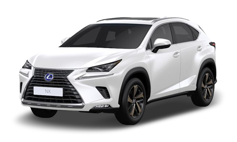 소닉 쿼츠 익스테리어